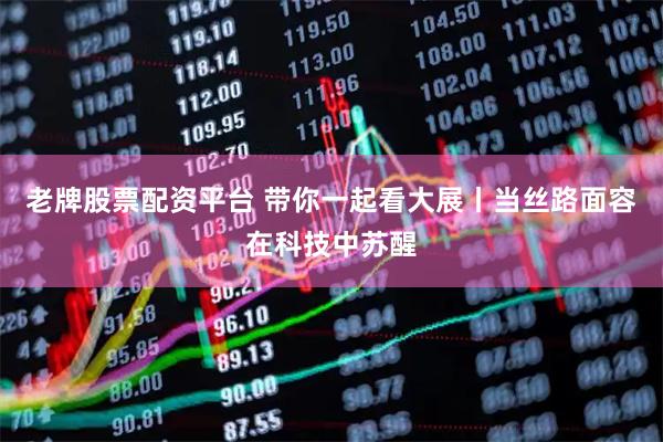老牌股票配资平台 带你一起看大展丨当丝路面容在科技中苏醒