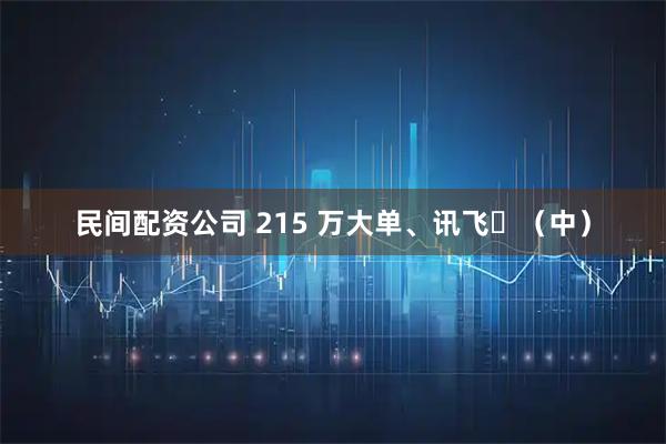 民间配资公司 215 万大单、讯飞‌（中）